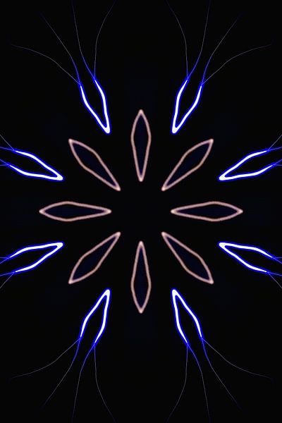 luminous Flower N.3 von Olis-Art