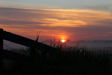 Prachtige zonsopgang in de polder van Chantal