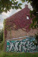 Urbex