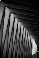 Rhythmic Shadows