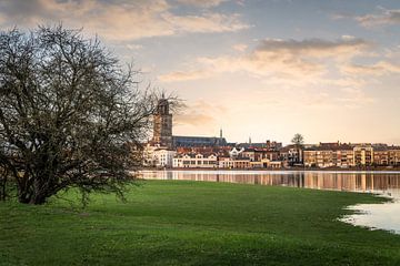 Natural Perspective: Deventer Seen from the river IJssel by Bart Ros
