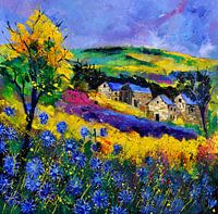 Cornflowers