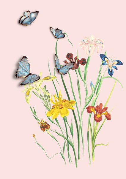 Flowers and butterflies by Studio Allee