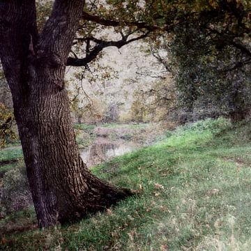 Präsenz II | Impressionistischer Baum von Frank Hoogeboom
