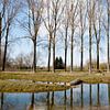 Weerspiegelde bomen - Vroege lente - in Puyenbroeck, Vlaanderen, België van Marie-Lise Van Wassenhove