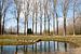 Weerspiegelde bomen - Vroege lente - in Puyenbroeck, Vlaanderen, België van Marie-Lise Van Wassenhove