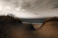 Vue à travers les dunes par Wim Schuurmans Aperçu