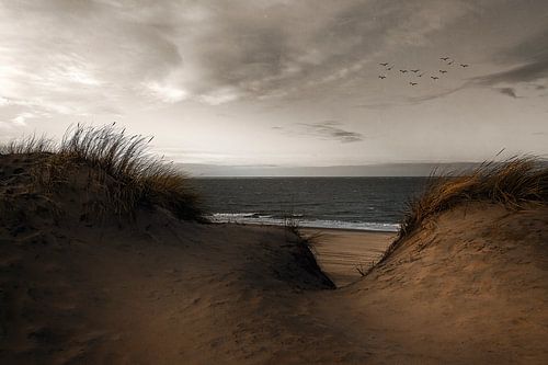 Dunes II.....