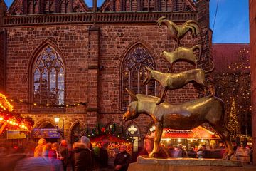 De stadsmuzikanten van Bremen van Torsten Krüger