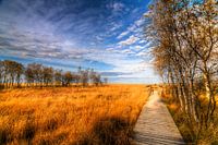 High Fens Pathway
