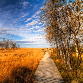 High Fens Pathway von Colin van der Bel