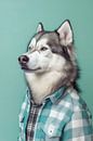 Alaska Malamute van Poster Art Shop thumbnail
