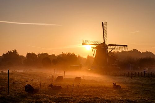 Windmill sunrise, Leiden
