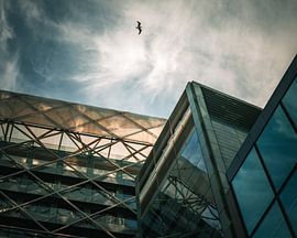 Architektur und Vogel von M10foto