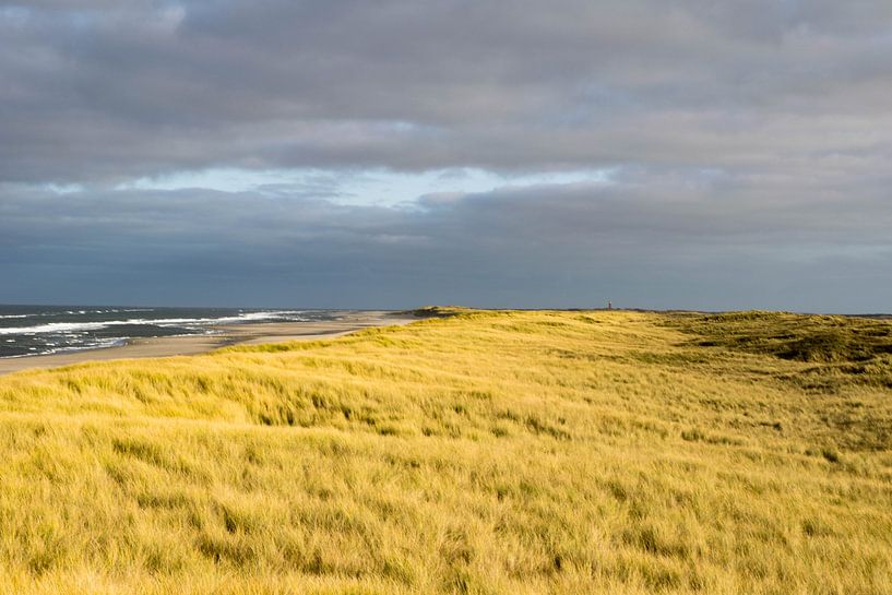 Duinen van Texel von Dick Hooijschuur