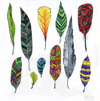 Feathers