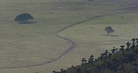 Landschap Ngorongoro krater