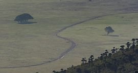 Landschap Ngorongoro krater by Jovas Fotografie