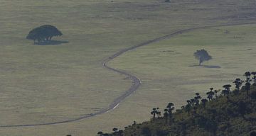 Landschap Ngorongoro krater