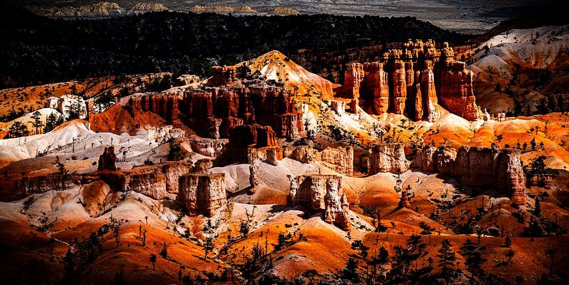 Panorama shadow play Bryce Canyon National Park by Dieter Walther