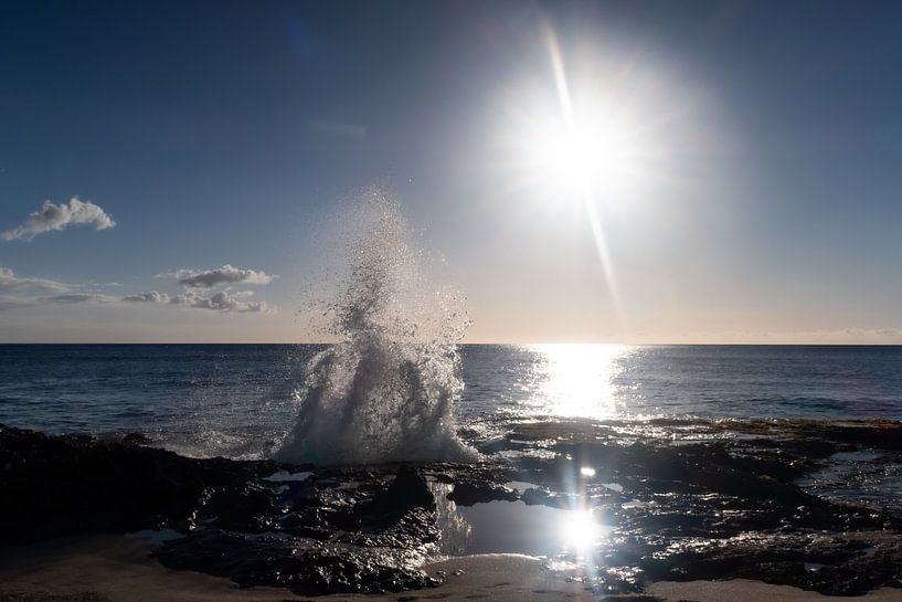 The wave on O'ahu by Renske Kleverwal