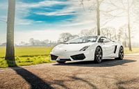 White Gallardo on a sunny day