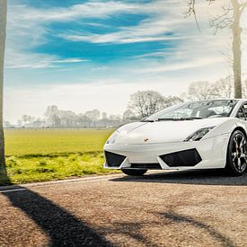 Gallardo blanc par une journée ensoleillée sur Jaimy van Asperen