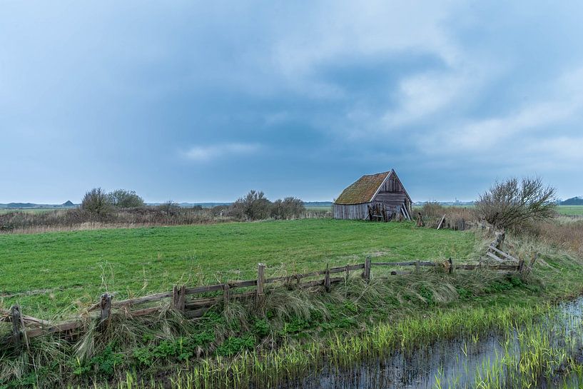 The chicken barn of Den Hoorn in Texel. by Norbert Versteeg