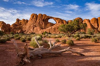 Parc national des Arches