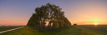 Panorama compositie met bomen in de Carel Coenraadpolder van Henk Meijer Photography