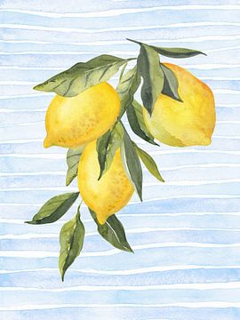 Lemons on Stripes Watercolor by Jolly and Dash