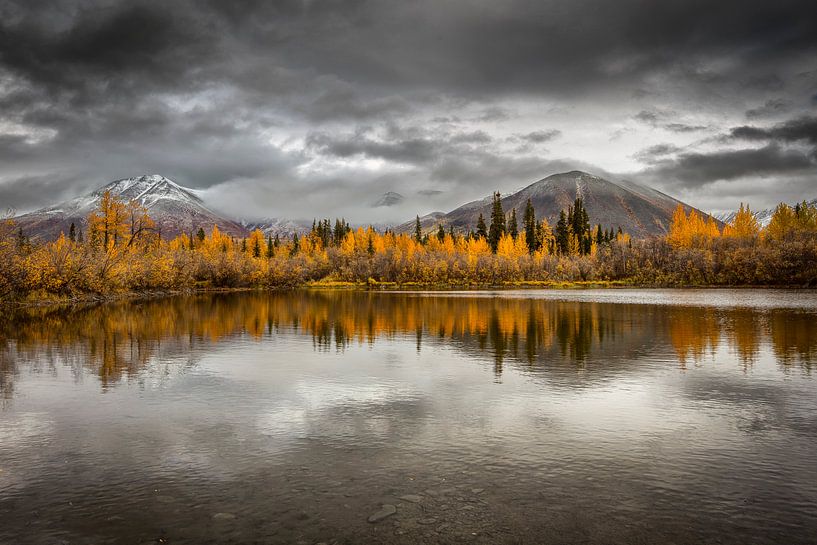 Reflection  by Chris Stenger