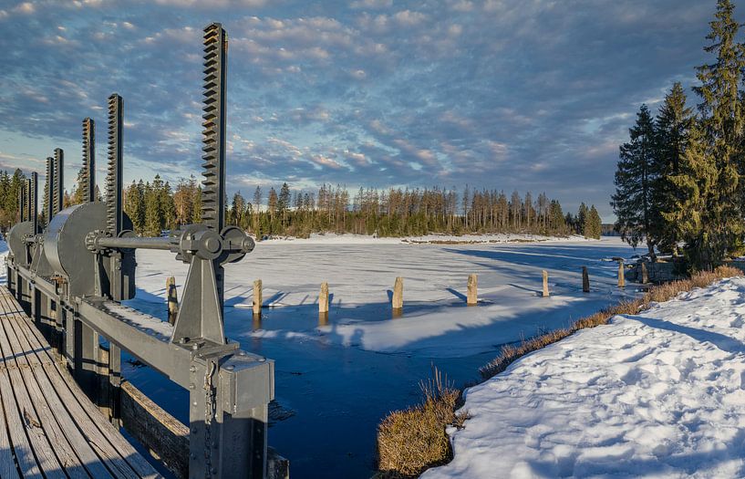 Winter beauty by Mart Houtman