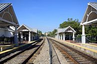 Crossing the tracks by Frank's Awesome Travels thumbnail