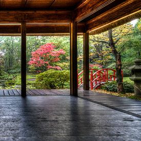 "Alle wonderen die je zoekt vind je in je zelf ",  Japanse tuin wijsheden van Hans Brinkel
