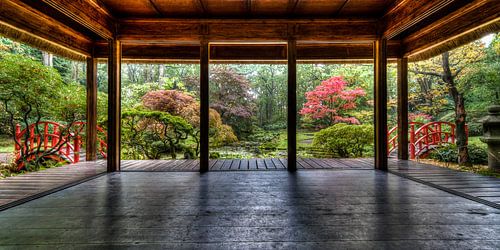 "All the miracles that you seek you will find within yourself" Japanese garden wisdoms. by Hans Brinkel