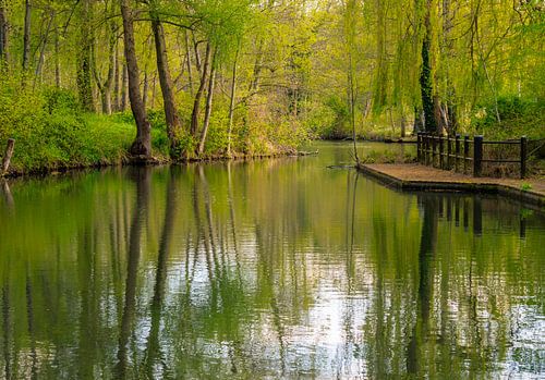 Beschermd landschapsgebied Spree-kanaal in het Spreewald