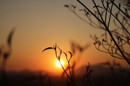 Zonsondergang op de achtergrond van Bin Chen