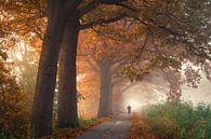 Herfst langs het Apeldoorns Kanaal van Edwin Mooijaart thumbnail