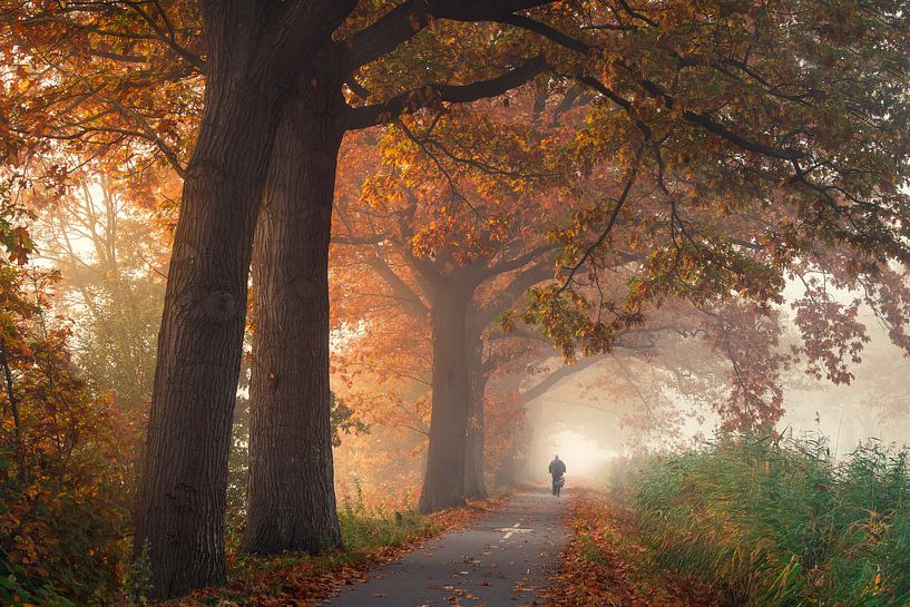 Herfst langs het Apeldoorns Kanaal van Edwin Mooijaart
