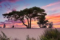 Soester Dunes