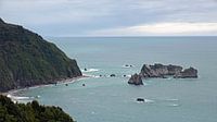 Knights Point Felsen in der Tasman Sea, Neuseeland von Aagje de Jong Miniaturansicht