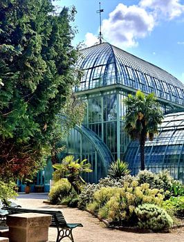 Botanical Serenity