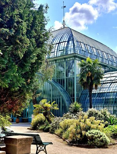 Botanical Serenity