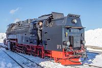 Die Brockenbahn am Bahnhof Brocken (Sachsen-Anhalt)