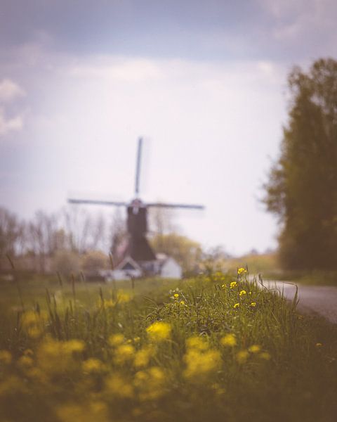 Hooglandse Molen Hellouw by Nicky Kapel