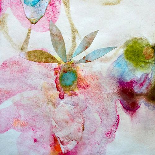 Schmetterlinge, die Blüten küssen