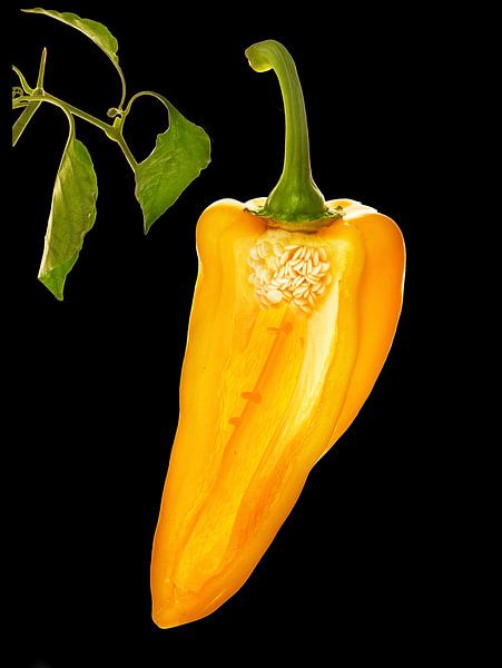 paprika van Fotogallery