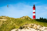 Nordsee - Leuchtturm auf Amrum von Reiner Würz / RWFotoArt Miniaturansicht