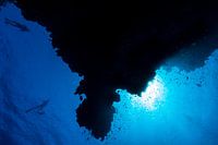 Silhouet van rif met freedivers